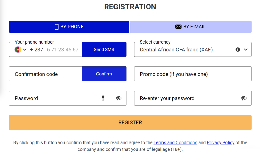 Registration options on the site PariPesa